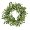 National Tree Company 22 in. Spring Wreath with Eucalyptus Leaves, Flowing Green Stems
