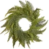 National Tree Company 36 in. Spring Wreath with Fern Leaves and Flowing Green Stems