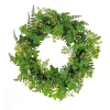 National Tree Company 24 in. Spring Wreath with Ivy, Fern Leaves, Seed Pods, and Flowing Green Stems