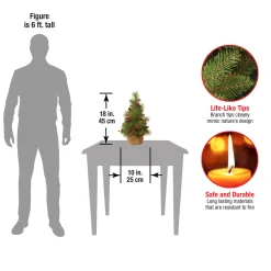 National Tree Company 18 in.Everyday Collection Tree