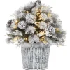 National Tree Company 22 in.Pre-Lit Snowy Chiwaw Basin Tree with LED Lights