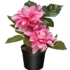 National Tree Company Artificial Potted Flowers, Pink Dahlias, Includes Black Pot Base, Spring Collection, 7 Inches