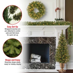 National Tree Company Pre-Lit Evergreen Assortment Set of 2 Entrance Trees, 1 Wreath, 1 Garland