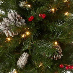 National Tree Company Pre-Lit Frosted Berry Assortment with 2 Entrance Trees, 1 Wreath, 2 Garland