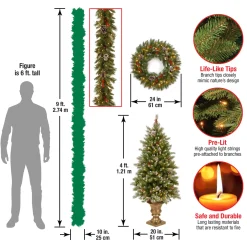 National Tree Company Pre-Lit Frosted Berry Assortment with 2 Entrance Trees, 1 Wreath, 2 Garland