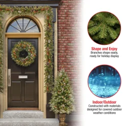 National Tree Company Pre-Lit Frosted Berry Assortment with 2 Entrance Trees, 1 Wreath, 2 Garland