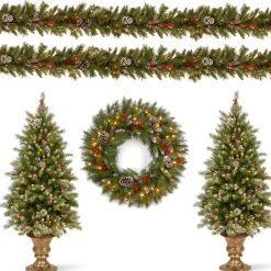 National Tree Company Pre-Lit Frosted Berry Assortment with 2 Entrance Trees, 1 Wreath, 2 Garland