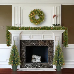 National Tree Company Pre-Lit Promotional Green Assortment Set of 2 Entrance Trees, 1 Wreath, 1 Garland