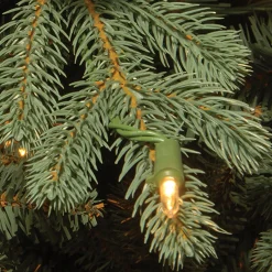 National Tree Company Replacement Soft White Low Voltage LED Bulbs in Bag
