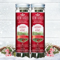 National Tree Company Scented Ornaments, 2-Pack- 6ct Bottle, Christmas Berry, Fragrance-Infused Paper Sticks