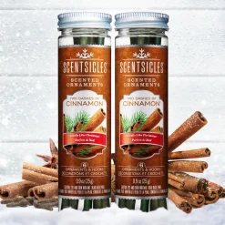 National Tree Company Scented Ornaments, 2-Pack- 6ct Bottle, 2 Dashes of Cinnamon, Fragrance-Infused Paper Sticks