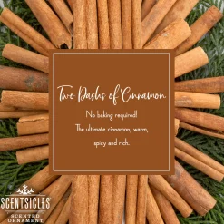 National Tree Company Scented Ornaments, 2-Pack- 6ct Bottle, 2 Dashes of Cinnamon, Fragrance-Infused Paper Sticks