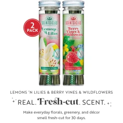 National Tree Company Scentsicles, 6pc Stick, 1 Lemon 'n Lilies/ 1 Berryvines & Wildflowers- 2 pack
