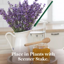 National Tree Company Scentsicles, 6pc Stick, 1 Sun-Soaked Lavender/1 Into the Vanilla Woods- 2 pack