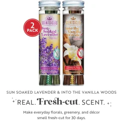 National Tree Company Scentsicles, 6pc Stick, 1 Sun-Soaked Lavender/1 Into the Vanilla Woods- 2 pack