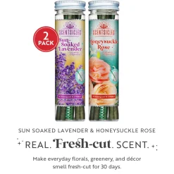 National Tree Company Scentsicles, 6pc Stick, 1 Sun-Soaked Lavender/1 Honeysuckle Rose- 2 pack