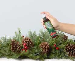 National Tree Company Scentsicles 6pc Stick and Spray White Winter Fir - 2 Pack