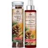 National Tree Company Scentsicles 6pc Stick and Spray Spiced Pine Cones - 2 Pack