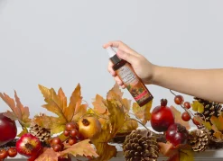 National Tree Company Scentsicles 6pc Stick and Spray Spiced Pine Cones - 2 Pack