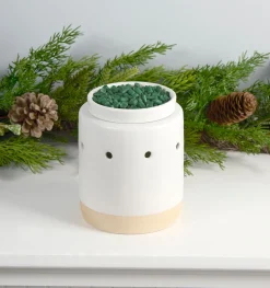National Tree Company Scentsicles 6pc Stick and Scentfetti White Winter Fir - 2 Pack