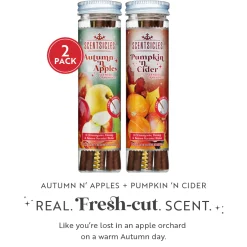 National Tree Company Scentsicles, 6pc Stick, Autumn 'n Apples & Pumpkin 'n Cider- 2 Pack