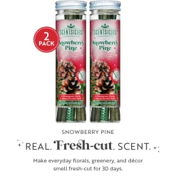 National Tree Company Scentsicles, 6pc Stick, Snowberry Pine - 2 Pack