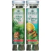 National Tree Company Scentsicles, 6pc Stick, White Winter Fir & O Christmas Tree- 2 Pack