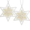 National Tree Company Scentsicles, Scented Star Ornament, White Winter Fir, 2-Pack