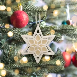National Tree Company Scentsicles, Scented Star Ornament, White Winter Fir, 2-Pack