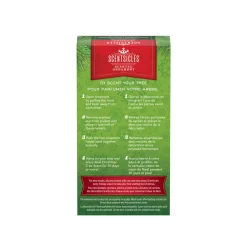 National Tree Company Scentsicles, Scented Star Ornament, White Winter Fir, 2-Pack