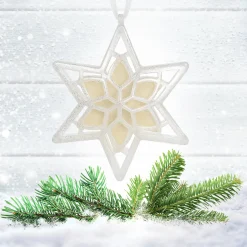 National Tree Company Scentsicles, Scented Star Ornament, White Winter Fir, 2-Pack