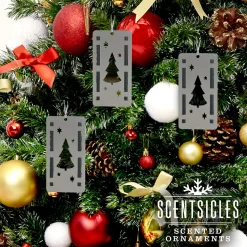 National Tree Company Scentsicles Trio Ornament Set of 3 and White Winter Fir Bottle of 6 Sticks